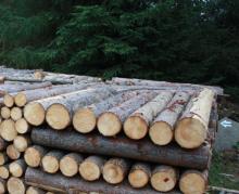 Cennik detaliczny sprzedaży drewna