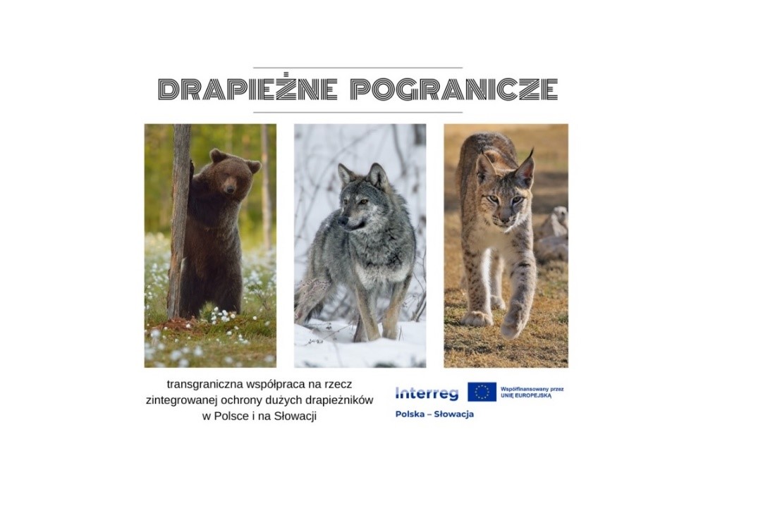 INTERREG Drapieżne Pogranicze