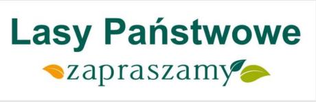 II przetarg na sprzedaż stacjonarnego agregatu prądotwórczego